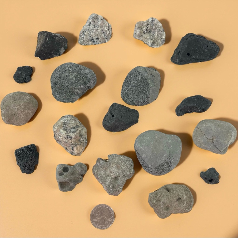 Bulk Lot of Interesting Coastal/Beach Rocks #6